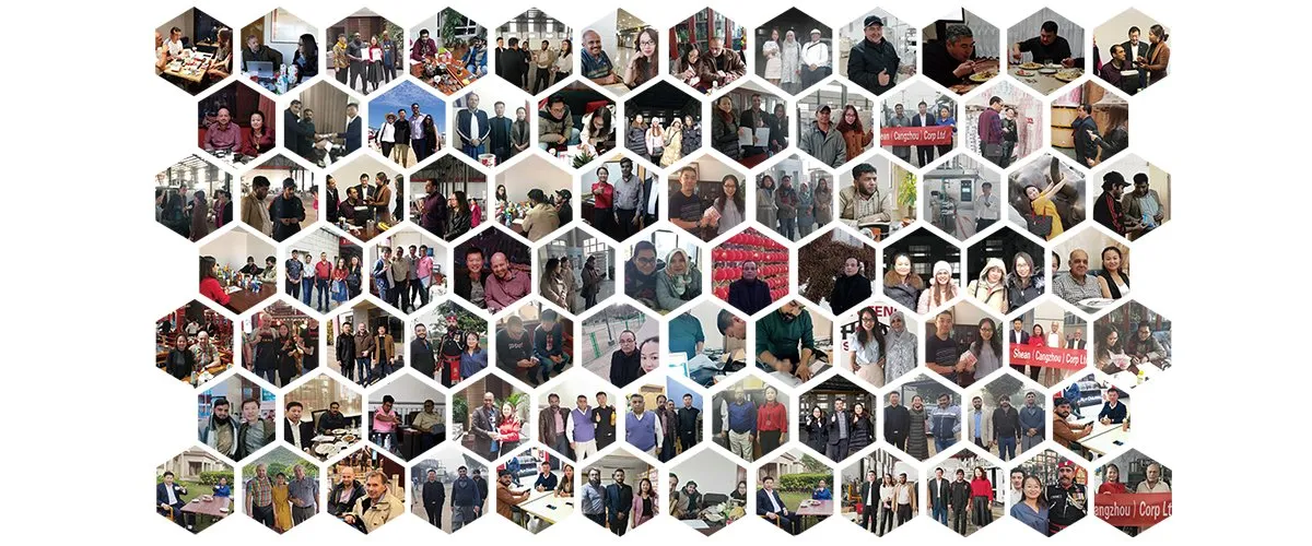 Automatic Rotary Peanut Butter Yogurt Jelly Plastic Dipping Sauce Cup Filling Sealing Machine